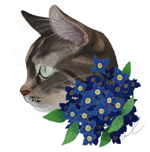 Misha Portrait
