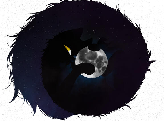 Nyaight Sky